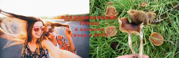 гидропоника Михайловск