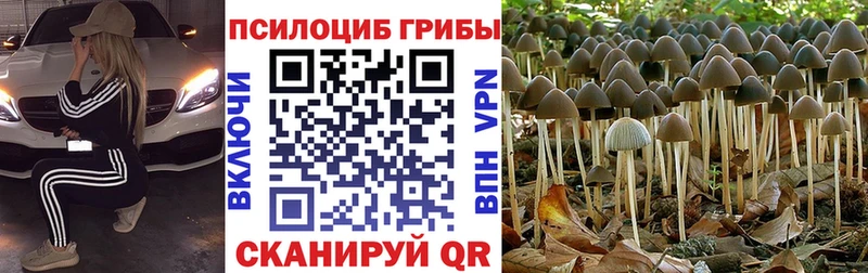 Купить  Серов  Галлюциногенные грибы MAGIC MUSHROOMS 
